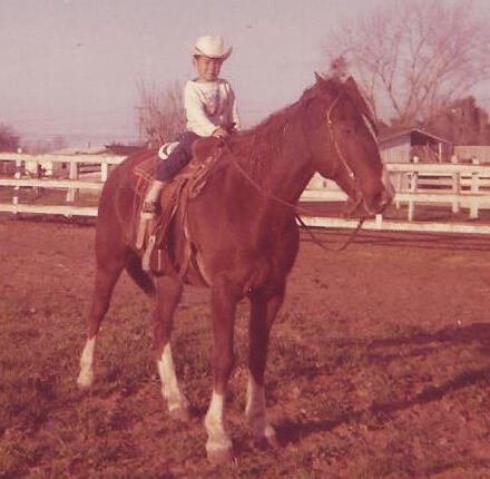Cimarron the Champion Cutting Horse Cimarron the Champion Cutting Horse